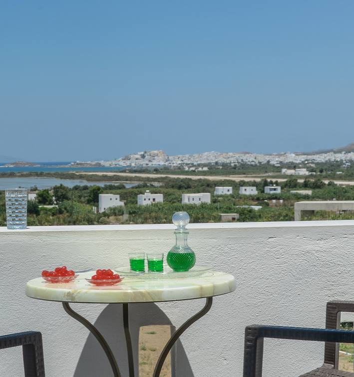 Naxos Hotel Agnanti