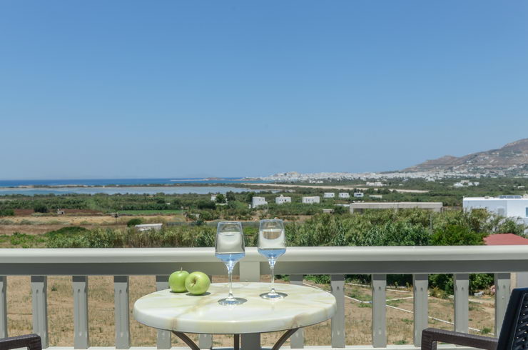 Top floor deluxe suites for 4 guests