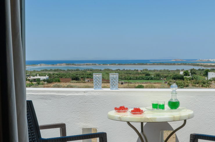 Top floor deluxe suites for 4 guests