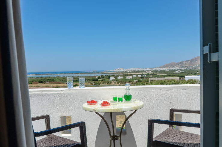 Top floor deluxe suites for 4 guests